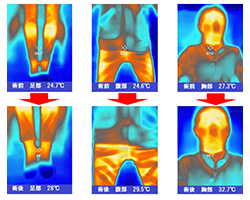 ご存じですか?血管の総延長は地球約2周半